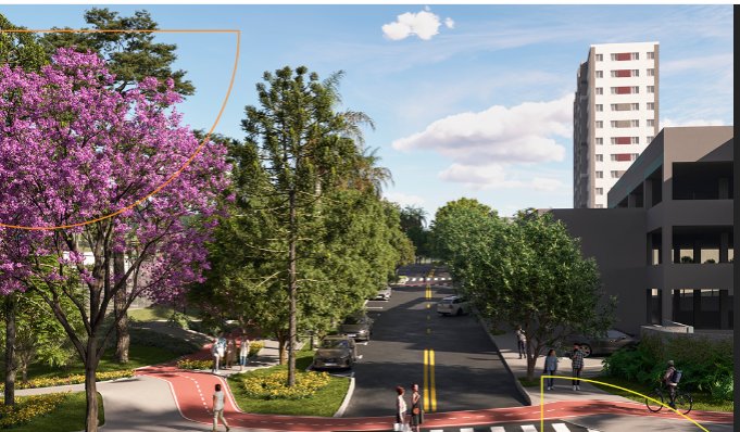 Rua arborizada com ciclovia e prédio ao fundo